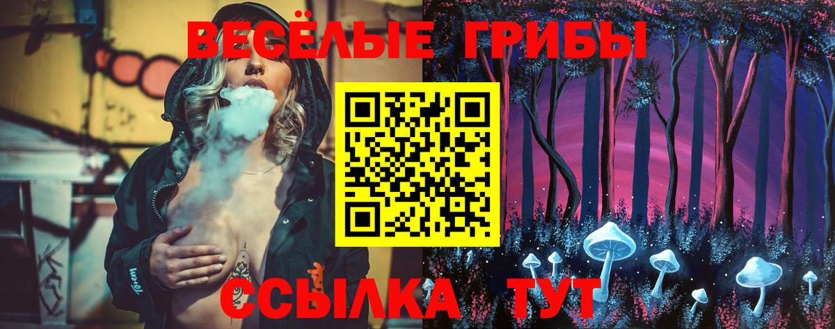 Псилоцибиновые грибы мицелий Кимовск
